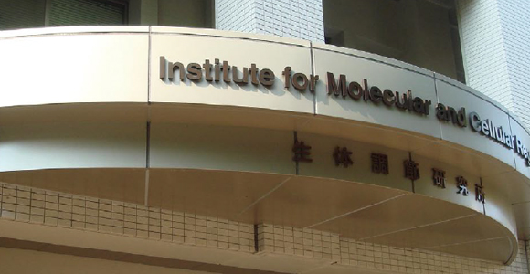 Institute for Molecular and Cellular Regulation