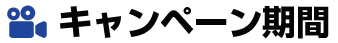 キャンペーン期間