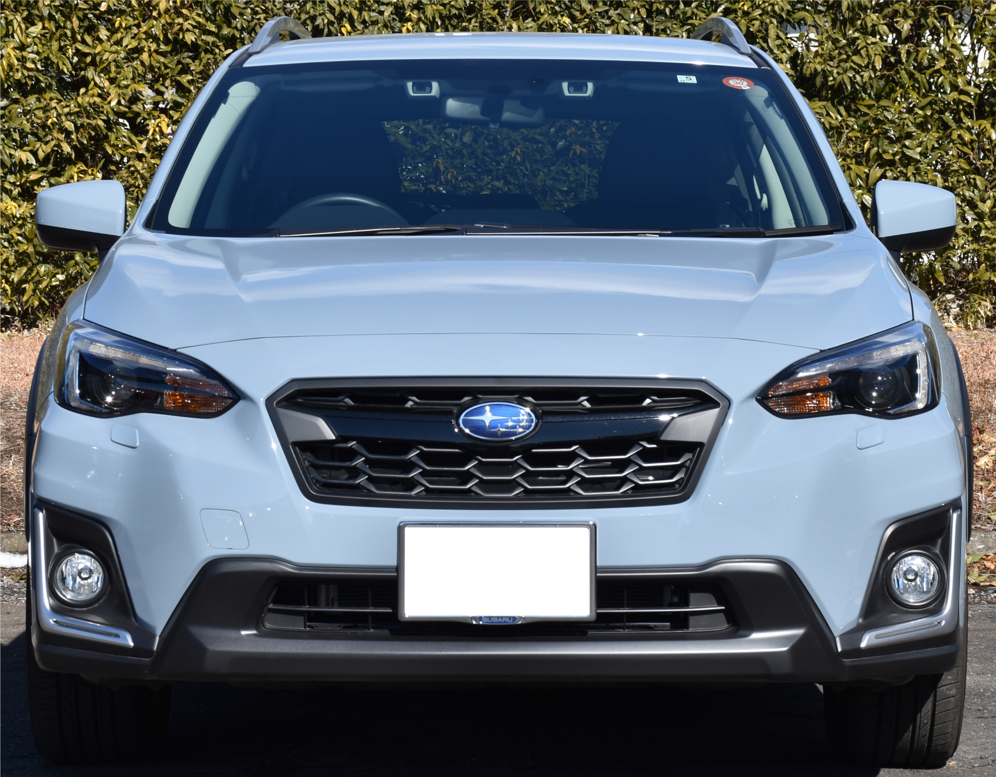 XV(GT3)のホーン交換