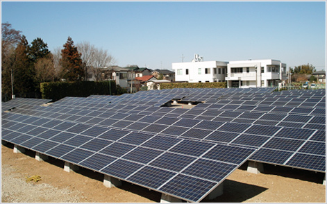 設置したパネルの様子。およそ1,000枚並んでいます